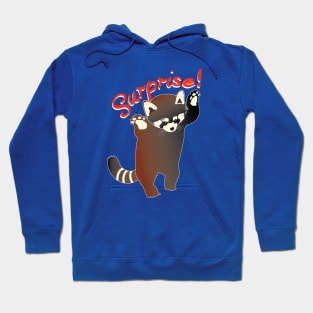 Red Panda Surprise Hoodie